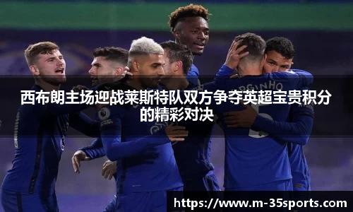 西布朗主场迎战莱斯特队双方争夺英超宝贵积分的精彩对决